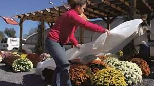 fall prep